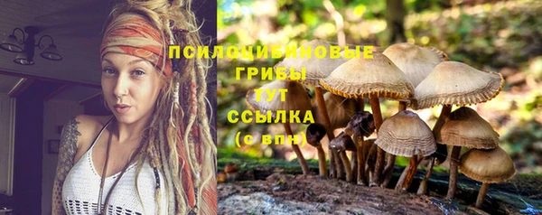 мяу мяу кристалл Гусь-Хрустальный