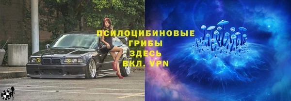мяу мяу кристалл Гусь-Хрустальный