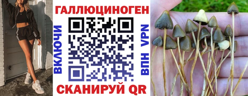 Псилоцибиновые грибы мухоморы  продажа наркотиков  Южа 